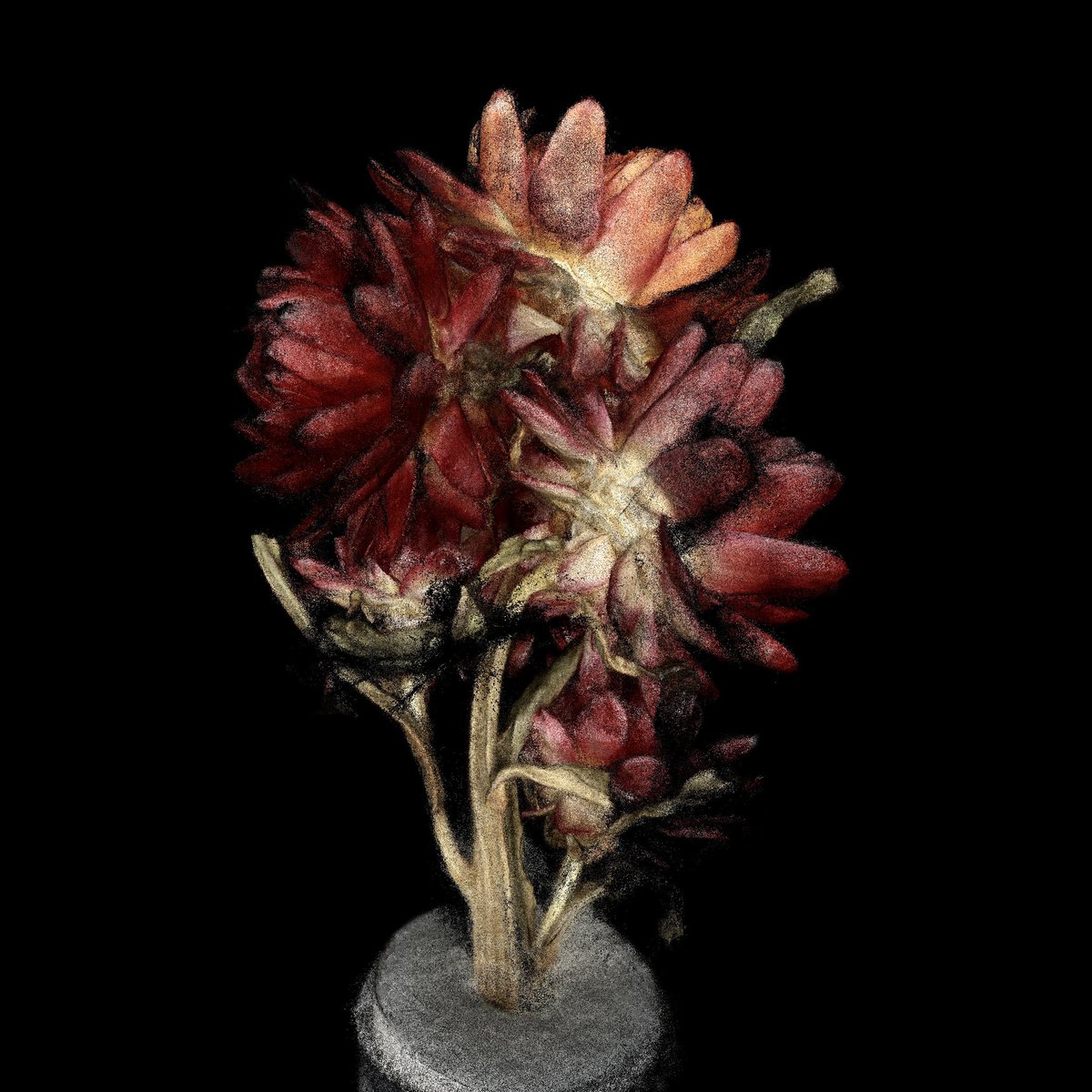 Some point-cloud renders from a flower scan done through Trnio Plus.  Loving the colors.  Thanks to <a href="/onemorepoly/">One More Poly</a> for scanning. 

#trnio #trnioplus #Photogrammetry