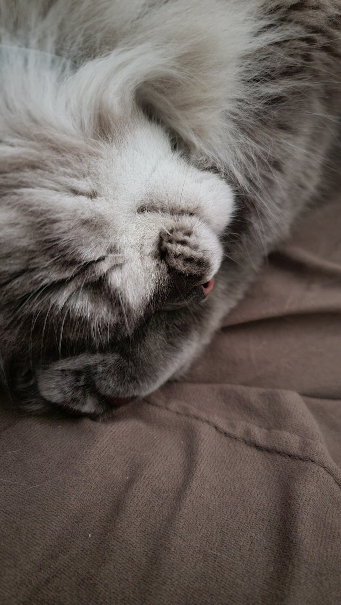 Melanie Anton on Twitter " AliceSkary Someone is snoring. https //t.co