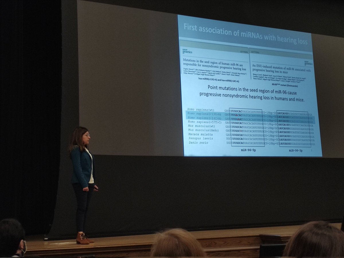 Miguel Angel Moreno Pelayo (@mamorenopelayo) on Twitter photo Nice presentation in Iowa of the collaborative work with Karen Steel's lab in miR96 knock-in mice by our young researcher
<a href="/MariaLachgar/">María Lachgar-Ruiz</a> <a href="/mbhd2022/">MBHD2022</a>
<a href="/MAMorenoPelayo/">Miguel Angel Moreno Pelayo</a>
@CIBERER
<a href="/AEGHgenetica/">Asociación Española de Genética Humana (AEGH)</a>
<a href="/RAREGenomicsCM/">RAREgenomics</a> Nice presentation in Iowa of the collaborative work with Karen Steel's lab in miR96 knock-in mice by our young researcher
<a href="/MariaLachgar/">María Lachgar-Ruiz</a> <a href="/mbhd2022/">MBHD2022</a>
<a href="/MAMorenoPelayo/">Miguel Angel Moreno Pelayo</a>
@CIBERER
<a href="/AEGHgenetica/">Asociación Española de Genética Humana (AEGH)</a>
<a href="/RAREGenomicsCM/">RAREgenomics</a>