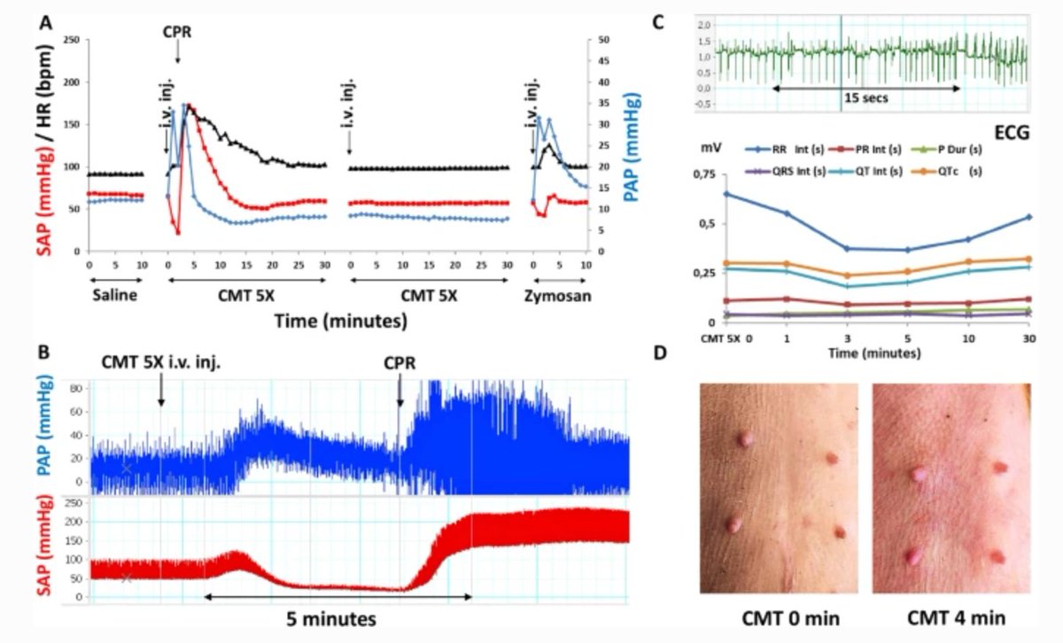 GeroScienceAGE's tweet photo. Open🔓Access Paper📖
A naturally hypersensitive #porcine model may help understand the mechanism of #Covid19 #mrnavaccine-induced rare (pseudo) allergic reactions: #complementactivation as a possible contributing factor.
https://t.co/Ys5ooYd7u7
@semmelweishu @unimiskolc https://t.co/B61wEKEFuO