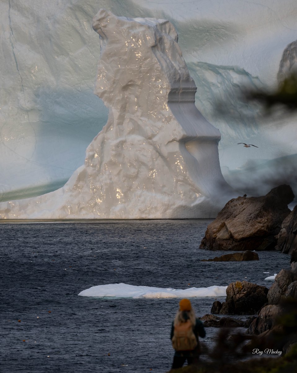 RayMackeyNL's tweet photo. Merritt's Harbour, Newfoundland. Monday. #icebergs #icbergsnl #newfoundland #comehome2022 #explorenl #yesby #nlwx @nltweets @ExploreCanada https://t.co/FoA9rJii8f