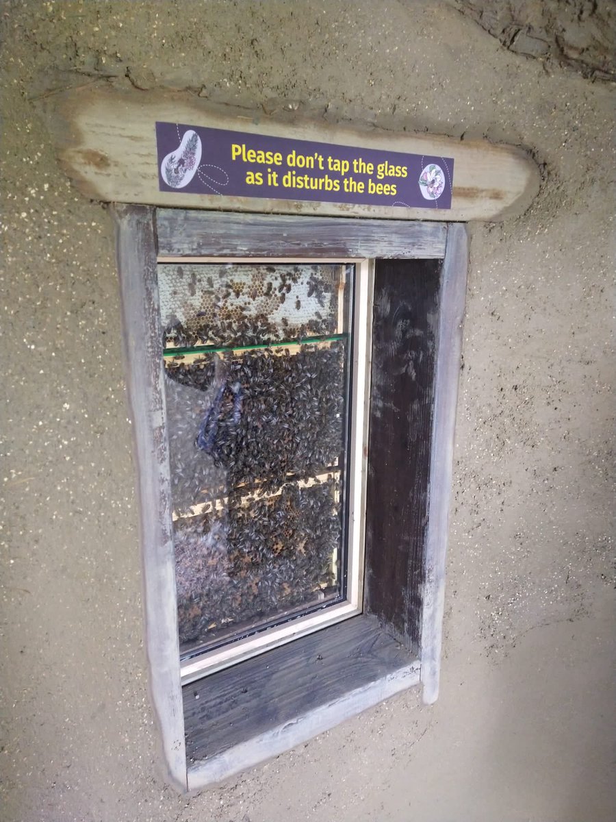 cobbuilding's tweet photo. The bees are in their new home even though its not finished yet https://t.co/r6cpdTu5dS