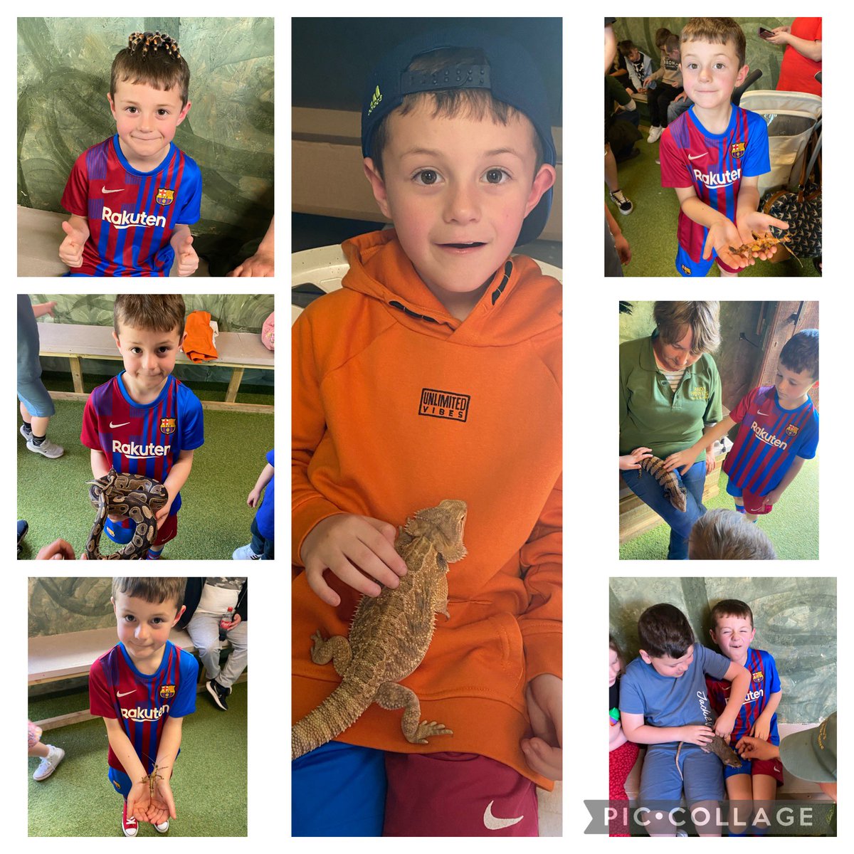 MichelleJulier2's tweet photo. @NYPSTigersYr4  Another fun day for Isaac. He was so excited that he got to hold a bearded dragon, yet don’t think he was too sure about the rat 😂 https://t.co/7BpH2KVSMy