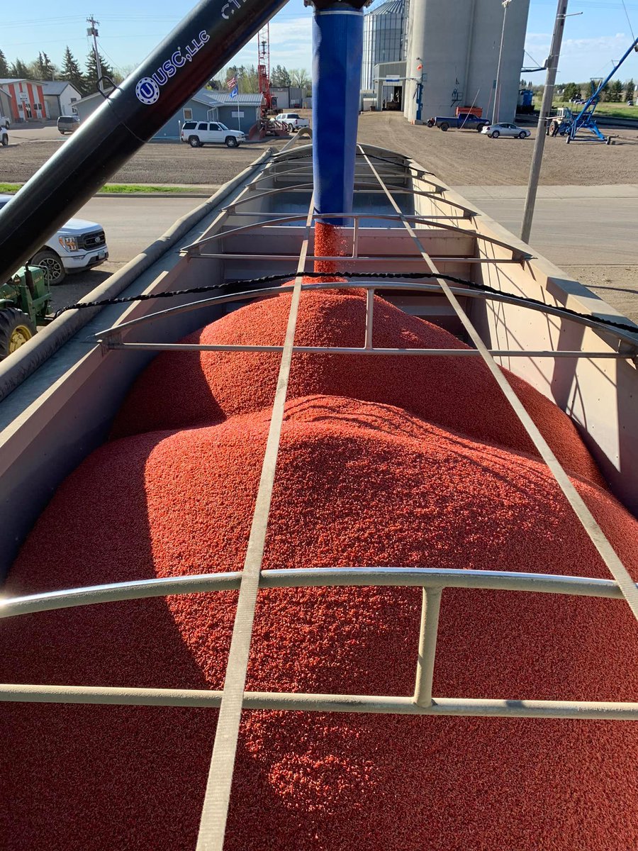 DakotaAgronomy's tweet photo. We have been busy treating a variety of seed including peas, barley, durum and wheat. Going into warm wet soil is the perfect condition for root rot and insect pressure. Quality seed treatment will help protect your seed from both. Call ahead to schedule your seed treating needs. https://t.co/DXa47z7uAI