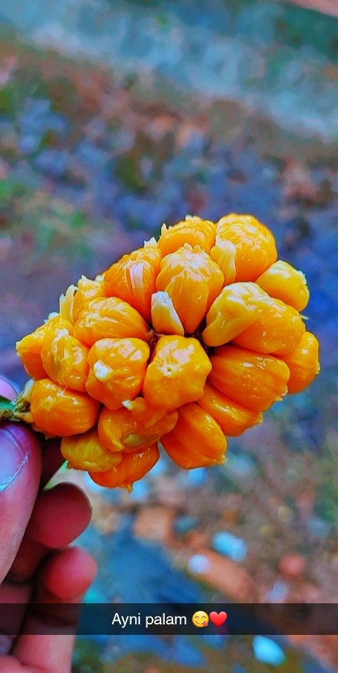 Bunparotta's tweet image. May dump 💫❤