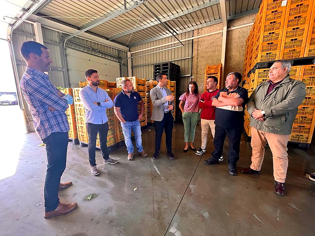 Esta mañá visitamos no <a href="/C_Cambados/">Concello de Cambados</a>, xunto ao alcalde <a href="/samulao/">Samuel Lago Ozón</a>, o grandísimo proxecto empresarial de <a href="/Horsalcoop/">Cooperativa Horsal</a>, que vén de recibir unha achega de 370.000€ da <a href="/Xunta/">Xunta de Galicia</a> para o seu plan operativo e de futuro ata o ano 24 como principal organización de produtores de horta de Galicia.