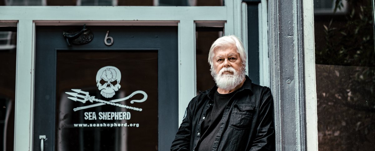 CaptPaulWatson's tweet photo. TAKING ON THE GOLIATHS OF DOOM - https://t.co/XOGoj3k6Hc https://t.co/JcBCoewW9u