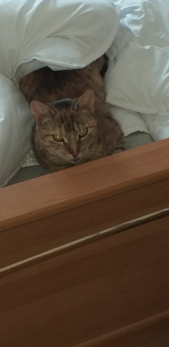 Du bleibst zu Hause.....am Vatertag ...