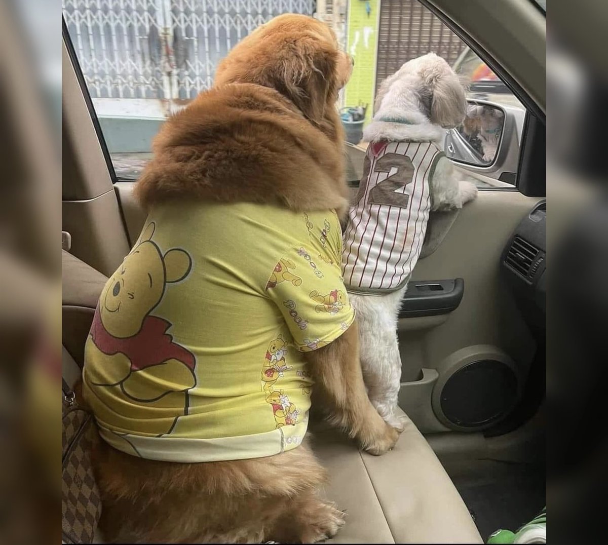 Yo aferrandome a mi talla S