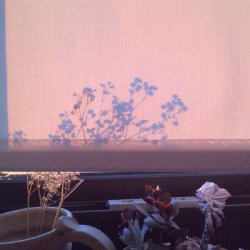 1817cafe's tweet photo. “I really believe there are things nobody would see if I didn’t photograph them.”
#photography #ig https://t.co/aYZSCIxxi6