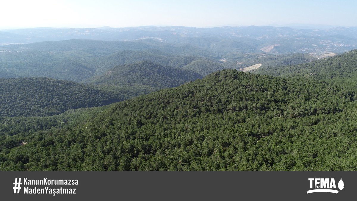 Türkiye’de ormanları madencilik faaliyetlerinden koruyacak hiçbir kanun bulunmuyor. Ormanlarımızı kanunlarla maden projelerinden koruyun. #KanunKorumazsaMadenYaşatmaz - @VahitKirisci @DrVeyselTiryaki @yunuskilic36 @PrHasanKalyoncu @orhansaribalchp