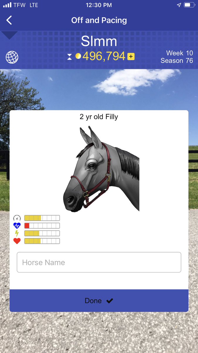 slmm723's tweet photo. @AndPacing …. this is absolutely ridiculous… i bought this from Dan and please explain why they are selling garbage horses like this. i want a refund !! https://t.co/UqDkI6fKrl