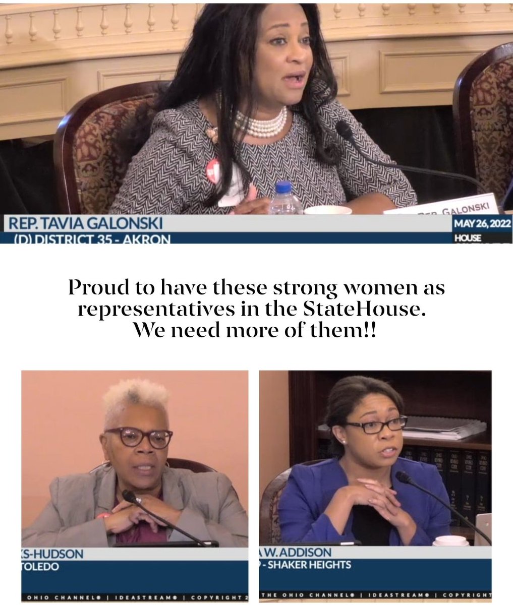 VarwigForTPS's tweet photo. Thank you @RepGalonski @phh4Toledo & @BisharaAddison asking thoughtful questions in committee re: HB598 .
#womeninleadership
No to #HB598 https://t.co/unjYubiYVN