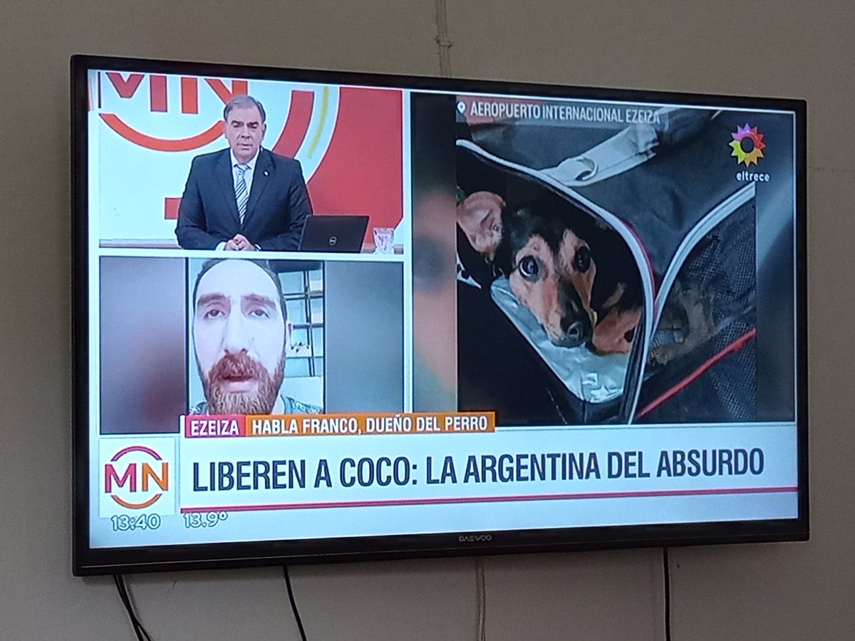 DaianaGiselaArt's tweet photo. Somos lo peor del 🌎🤌🏼 #liberenaCoco 🙏🏼 🤦🏻‍♀️ https://t.co/u6flvZ8uLJ