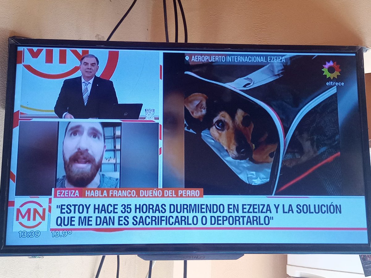 ushi23r's tweet photo. Es joda lo de #EZEIZA??? #LiberenACoco por favor!!! Una verguenza lo que está haciendo #SENASA. Coco es un miembro de la familia más!!! PRESA LA QUIERO A LA JEFA DE @SenasaAR , esto es ABUSO DE AUTORIDAD https://t.co/QvjrUwja74