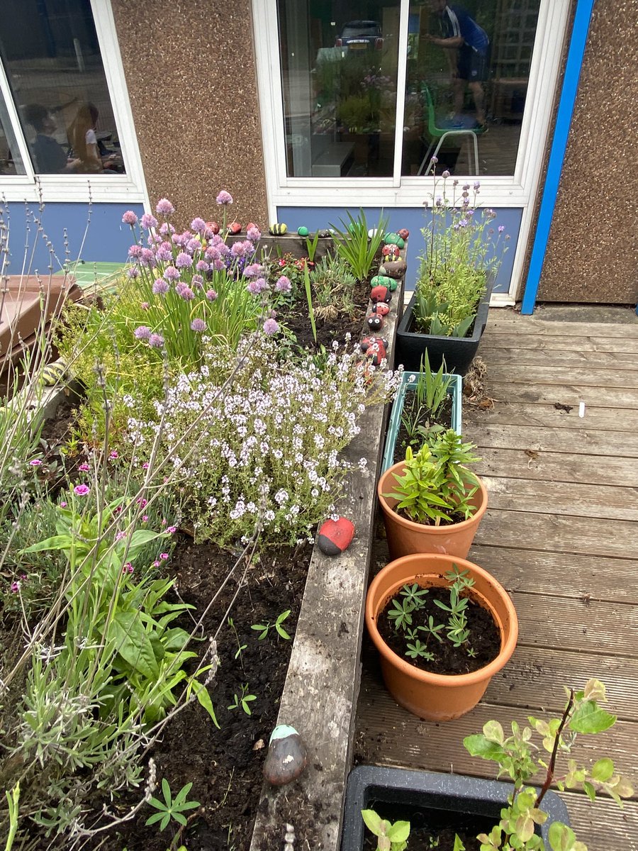 ThorplandsPrimary tweet media