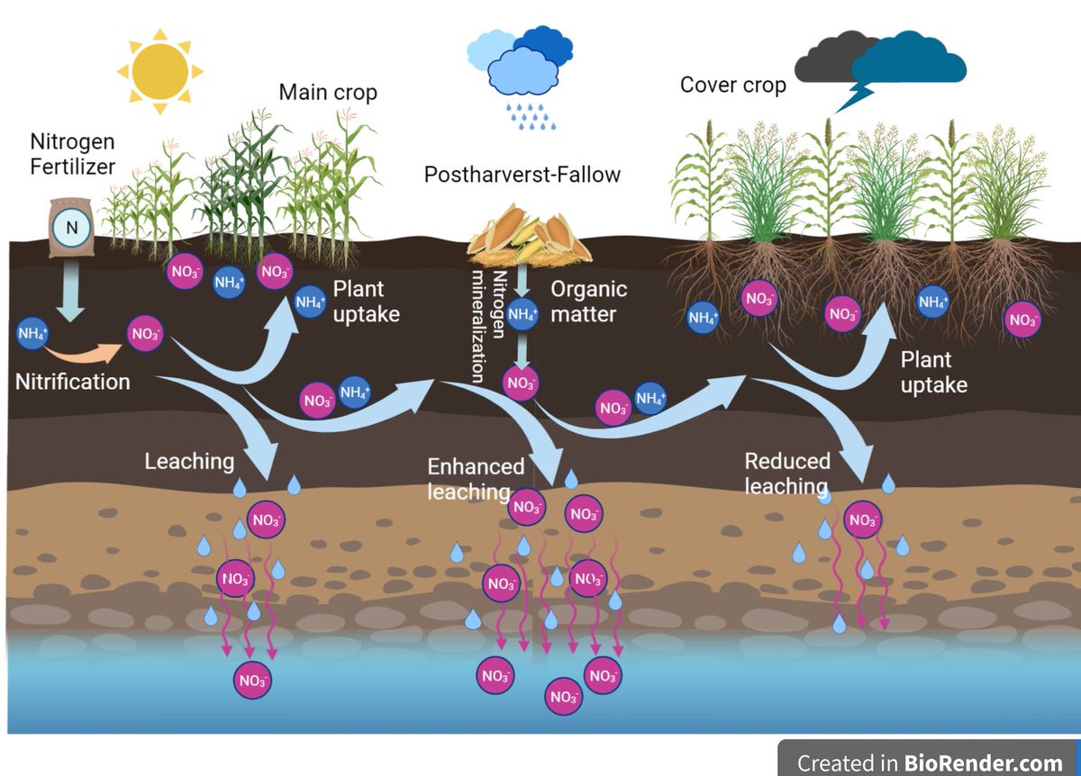 Global Change Biology tweet media