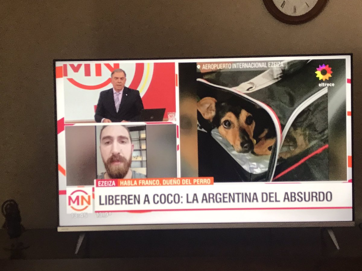 Ro_C67's tweet image. #LiberenACoco  una vergüenza,por el aeropuerto de Ezeiza entran y salen delincuentes y no puede ingresar al país un perrito por vacuna vencida .