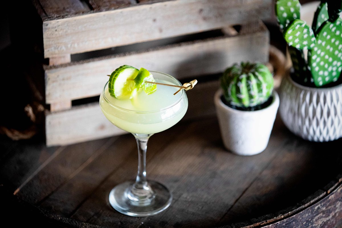 CactusLNK's tweet photo. Get the good vibes ✌️ going with our Cucumber Basil Collins 🥒🌵 https://t.co/45PASnKXEa