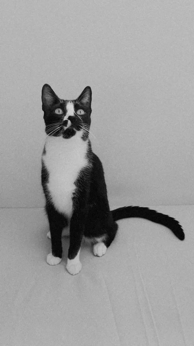 A @sramentws  consegue uns cliques absurdos de bom dos nossos filhos