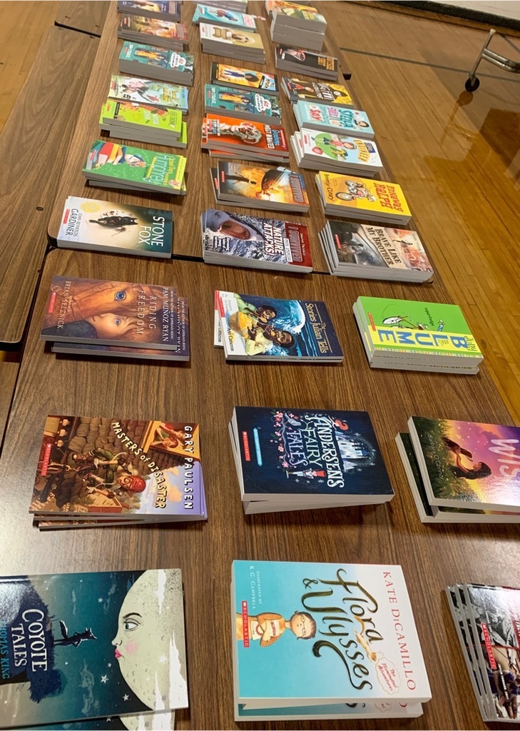 MesickSchools's tweet photo. Summer Reading Program Gr 4-5

Today students were able to pick out 4 new books for summer reading! https://t.co/yp8CO4FsSU