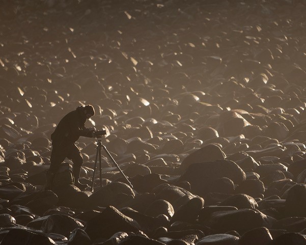 LEEFilters's tweet image. Matthew Cattell testing his luck on the slippery rocks in front of Dunstanburgh Castle whilst seeking something different!

Matthew Cattell - Dunstanburgh Castle

⚫ Polariser
⬛ 0.6 medium grad
🔗 matthewcattellphotography.com

#polariser #LEEFilters #ThinkLEE #photography