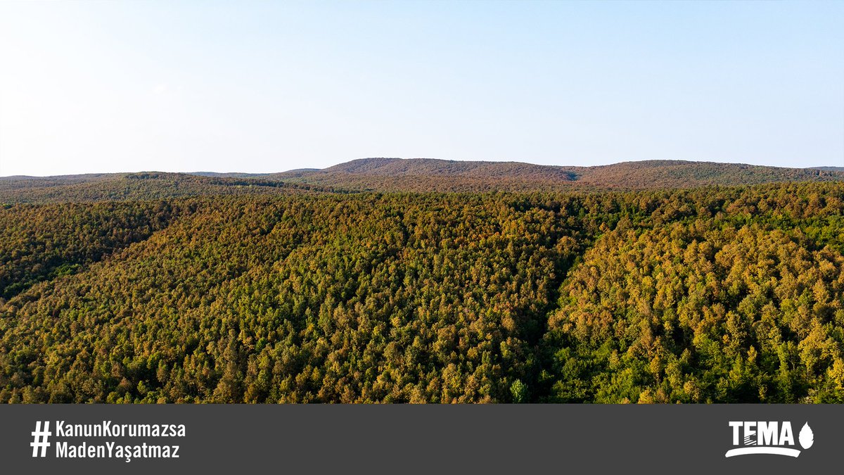 Sayın Bakan Yardımcım <a href="/drnihatpakdil/">Dr. Nihat Pakdil</a>, Türkiye'de ormanları madencilik faaliyetlerinden koruyacak hiçbir kanun bulunmuyor. #KanunKorumazsaMadenYaşatmaz