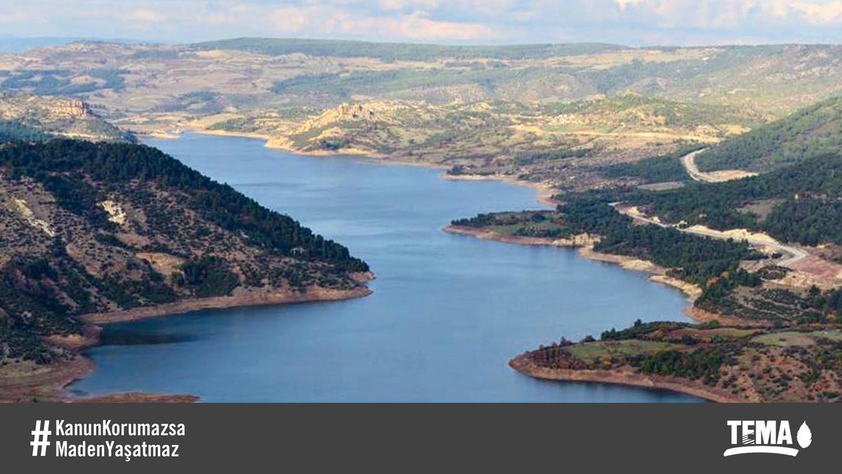 Sayın Vekilim <a href="/fazilkasap/">Dr. Ali Fazıl Kasap</a>, Türkiye'de ormanları madencilik faaliyetlerinden koruyacak hiçbir kanun bulunmuyor. #KanunKorumazsaMadenYaşatmaz