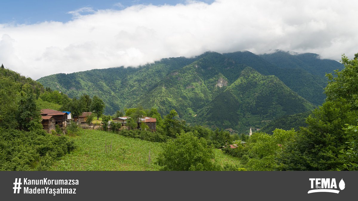 Sayın Vekilim <a href="/bkaradeniz57/">Barış Karadeniz 🇹🇷</a>, maden mevzuatı meralarımızda maden projelerinin hayata geçmesine olanak sağlıyor. Meralarımızı kanunlarla maden projelerinden koruyun. #KanunKorumazsaMadenYaşatmaz
