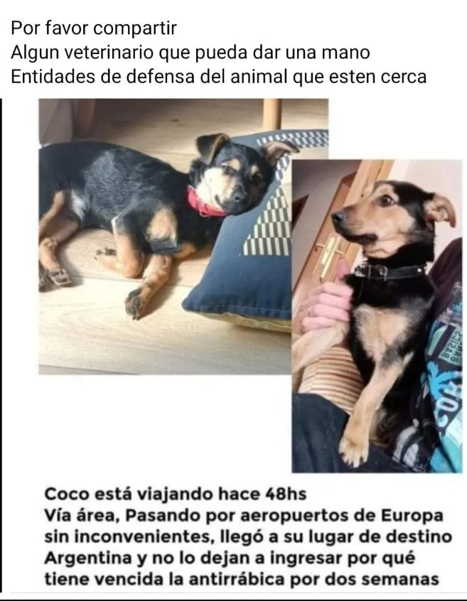 Bichuok1's tweet image. #LiberenACocoYa