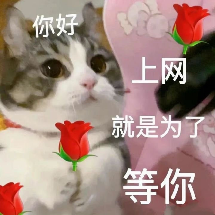 ktt485955's tweet photo. @LYY44821377 @liwanji191 我最爱的万机老婆终于更新了 不好意思催老婆更新 每天上来第一件事就是默默来看老婆更新没 终于啊！没有更新的日子里老婆以前的视频都要看包浆了 https://t.co/F5XYWxrYWc