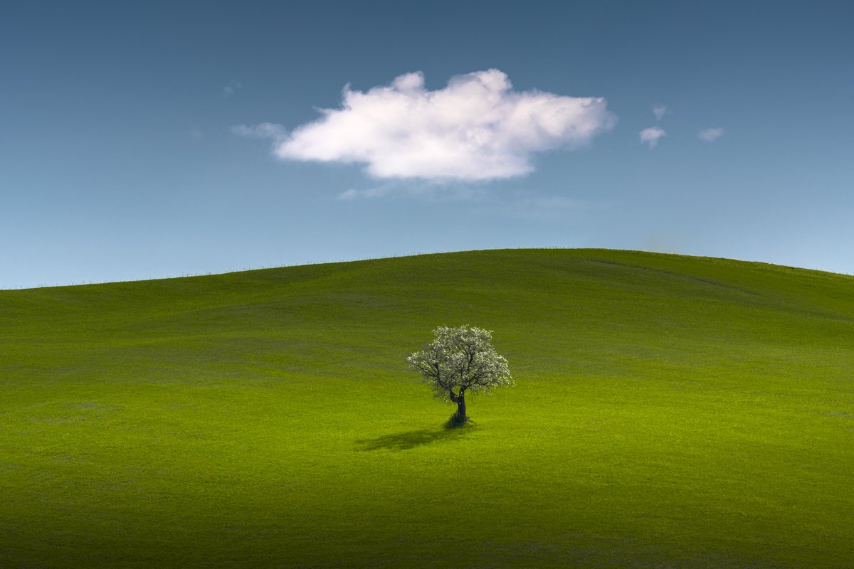 GM from the magical Tuscany