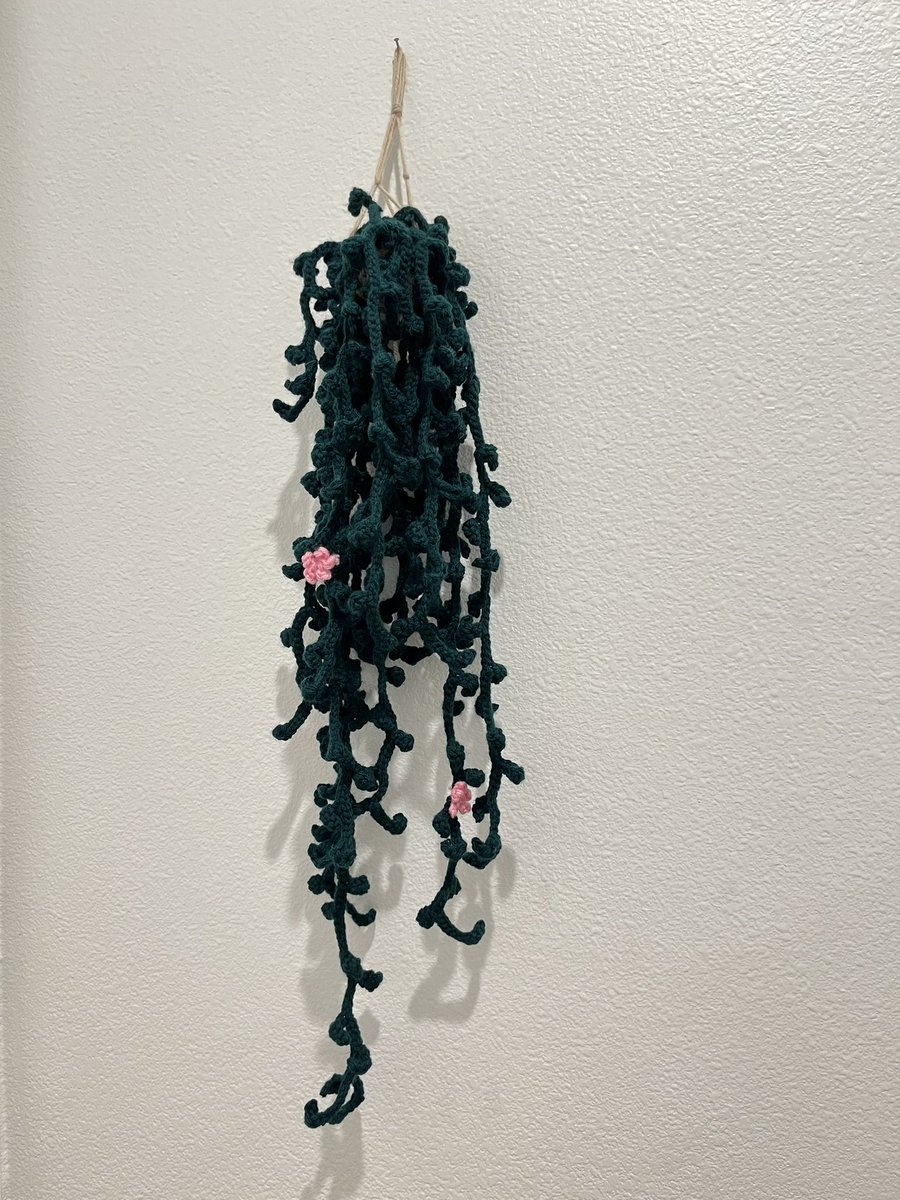 Hanging crochet plants available for just $25! Perfect for bathrooms, low light rooms, or those that don’t want to take care of real plants! 🌿🌸