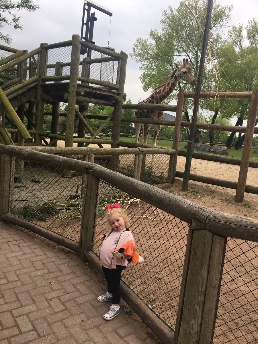Sar_Mitch's tweet photo. @chesterzoo https://t.co/wOwCfBzDgO