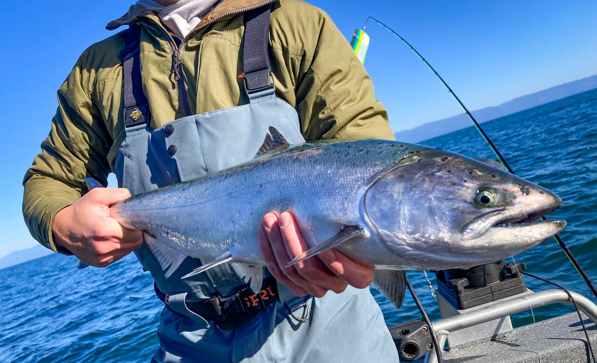 WDFW on Twitter "Southcentral Puget Sound (Marine Area 11) kicks off