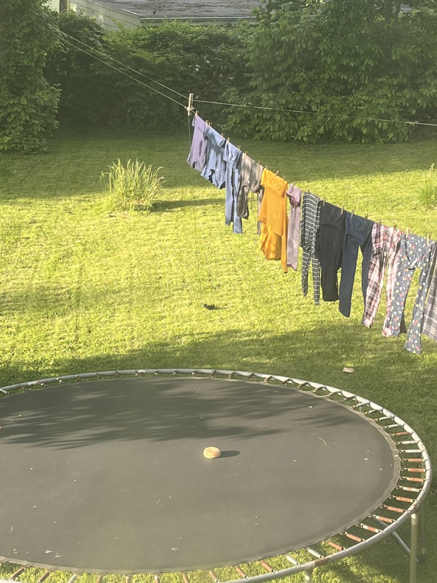 mikumongus's tweet photo. why is there a bagel on my trampoline https://t.co/x3btB5jTcW