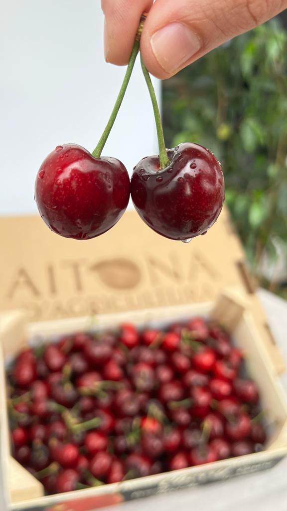 Moltes gràcies per la fantàstica acollida i confiança. La cirera diu "fins a la temporada vinent", però continuem actius a aitonagourmet.com amb productes de les terres de Lleida. En no res comencem amb la fruita de pinyol 🍑.Cada dia cuidem i amanyaguem les nostres terres.