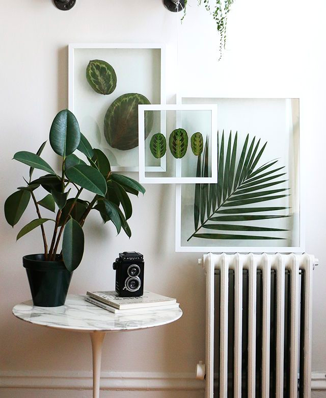 Who else likes to infuse nature into their apartment decor? If that sounds like you, this pressed-plant art project is the perfect way to go: goo.gl/JwMEeF