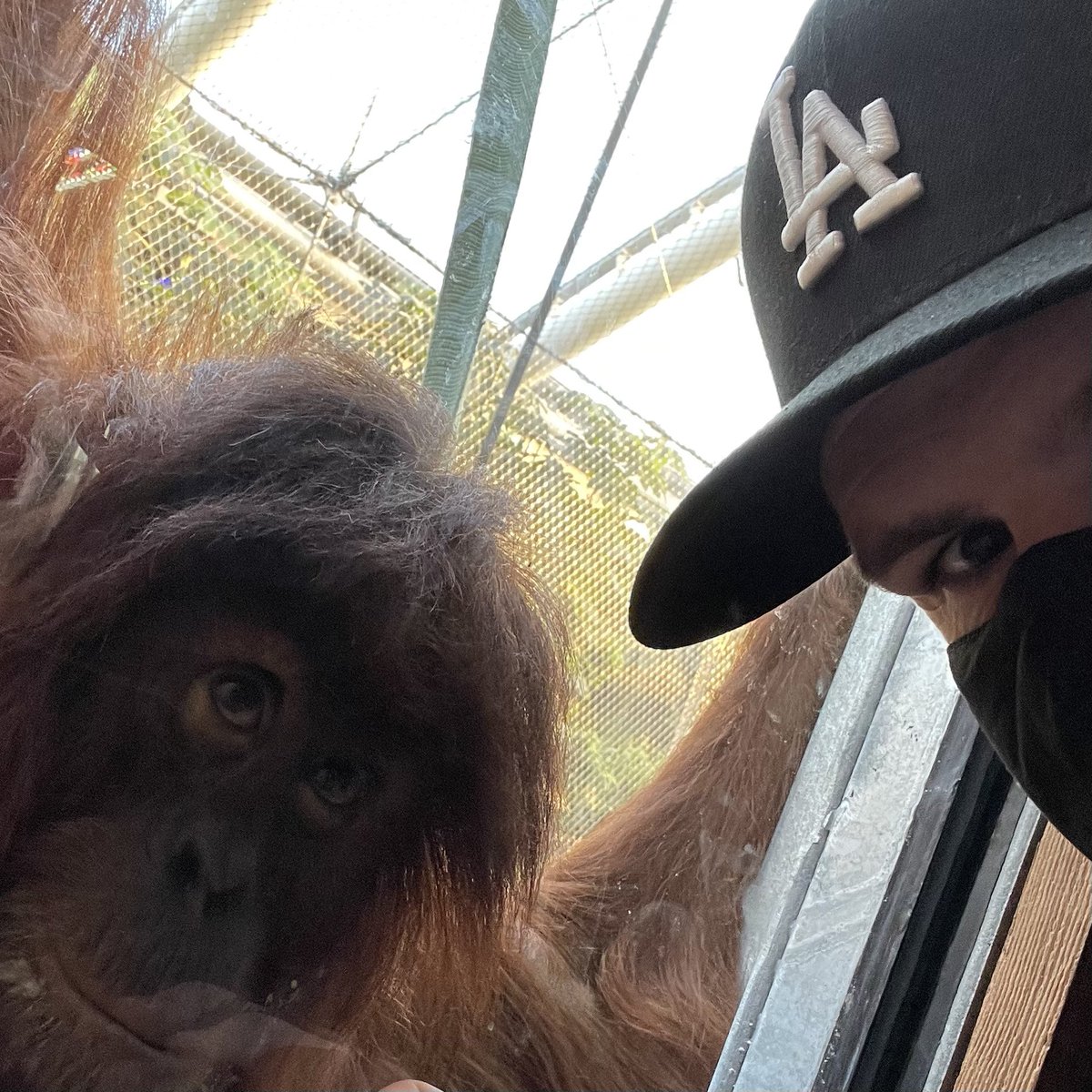 psimpson13's tweet photo. @chesterzoo 😀 https://t.co/IezBkYiNGD