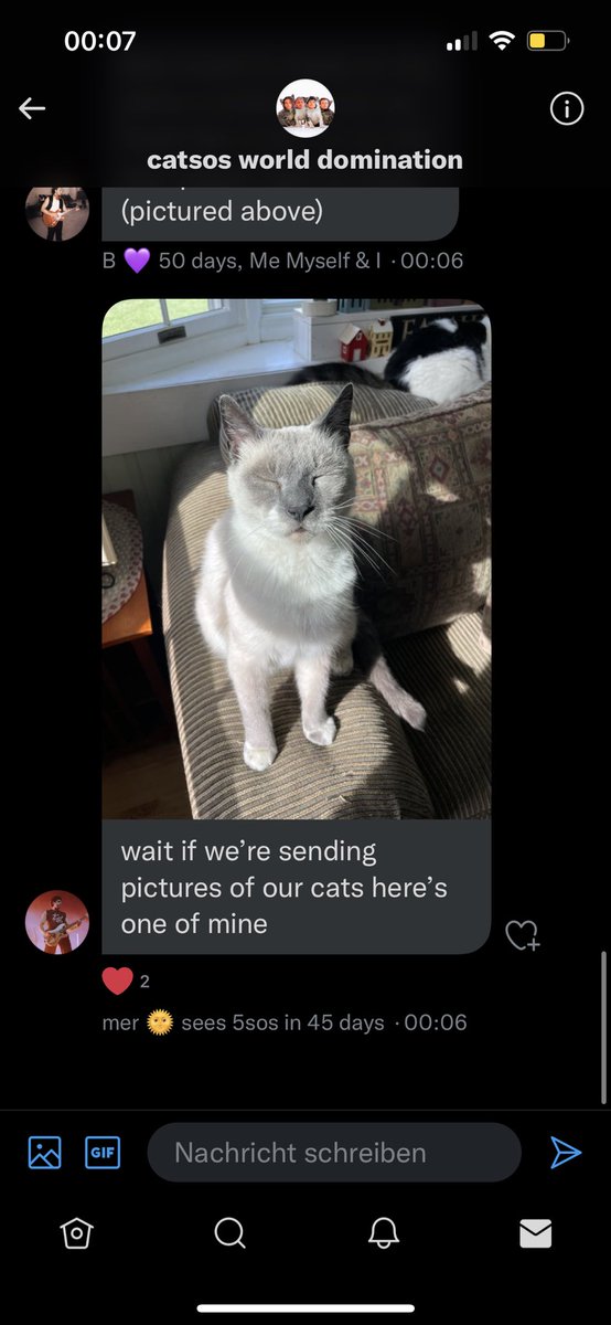 wildflowerRonja's tweet photo. Hey @5SOS ! If you are wondering what #catsos is here you go https://t.co/YBxj3F9MD9