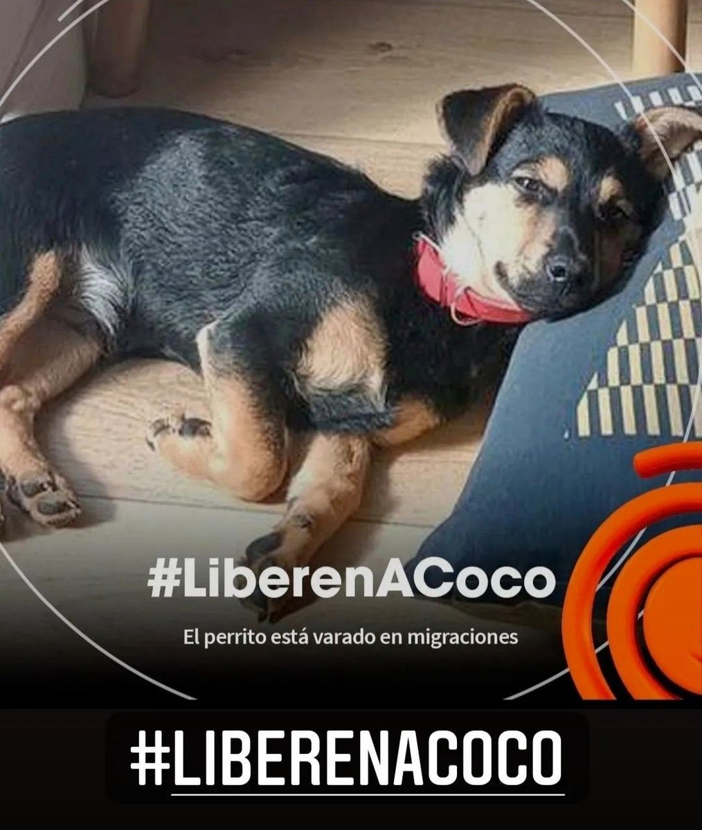 chichibatti's tweet image. #LiberenACocoYa