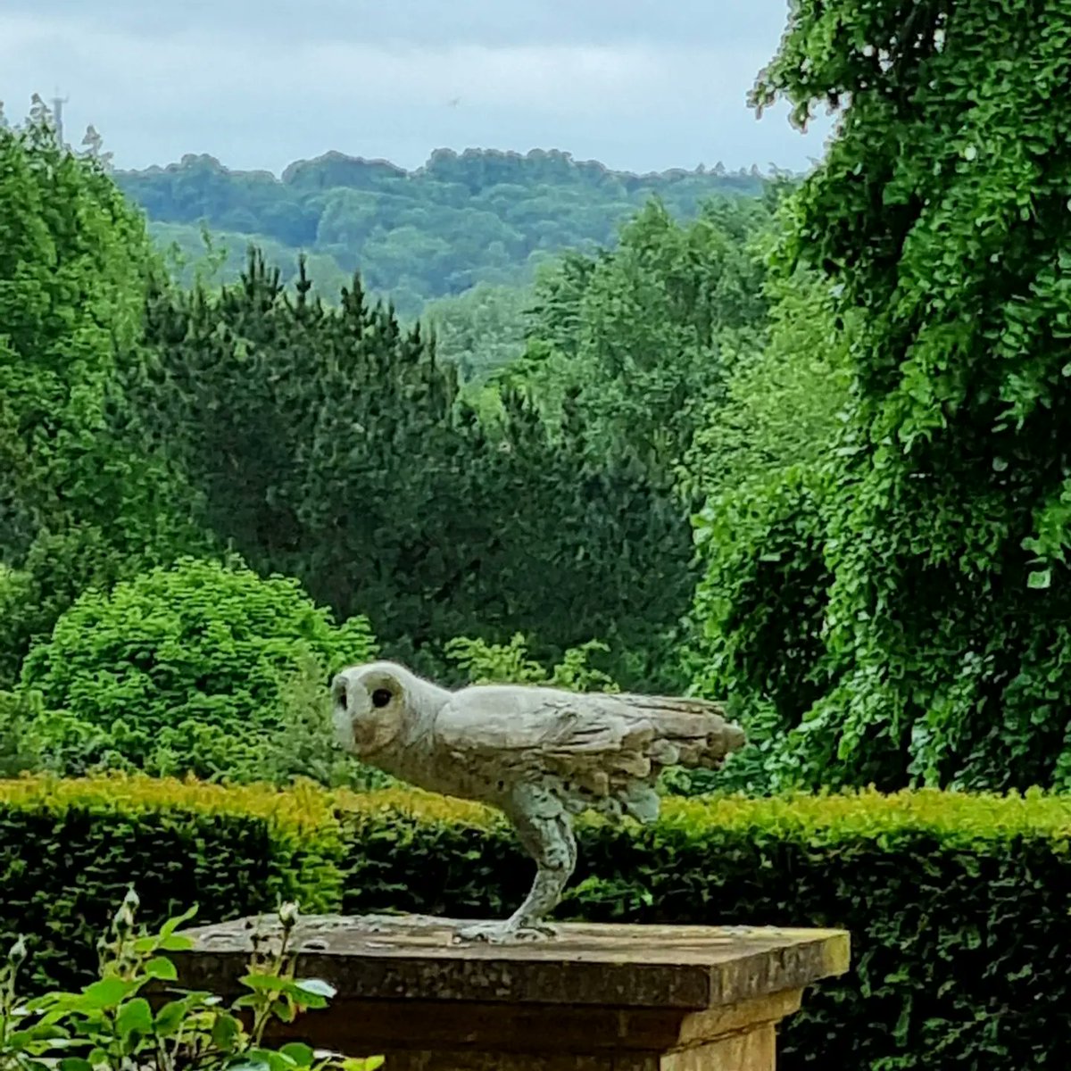 Doobrie's tweet photo. Thenford Arboretum open day for @TheBrooke #statues #birdlife  @MadCatWood https://t.co/7wGPCqn3v0