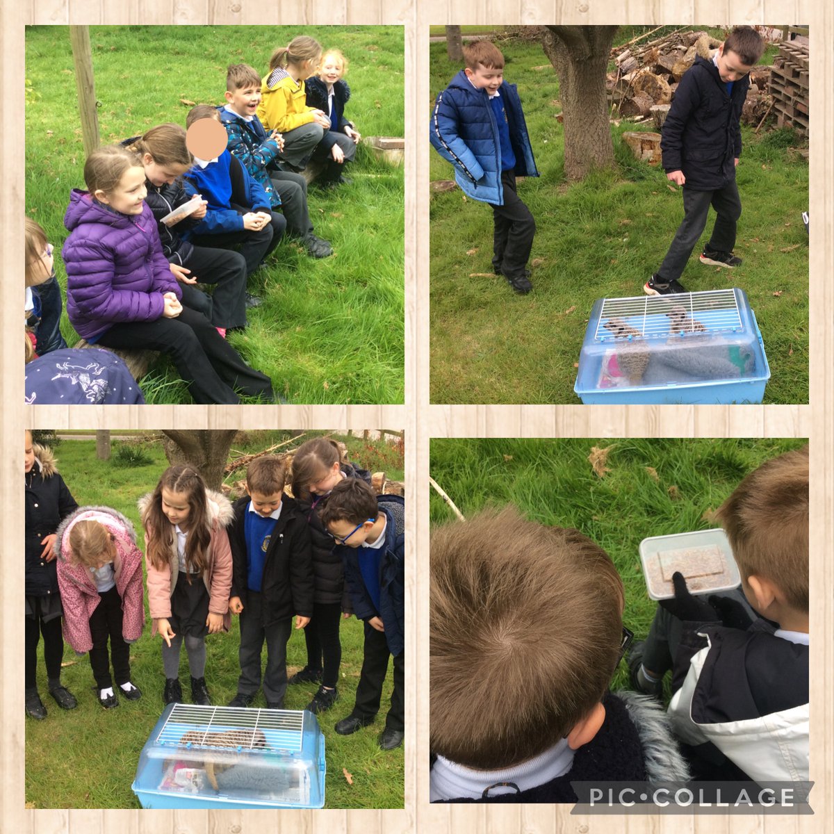 Y3Hunmanby's tweet photo. Our topic launch, only 5 weeks ago, with friendly meerkats Ollie and Obe. I think we have them to thank for the children's incredible engagement with this topic. https://t.co/ye08TFqTLh