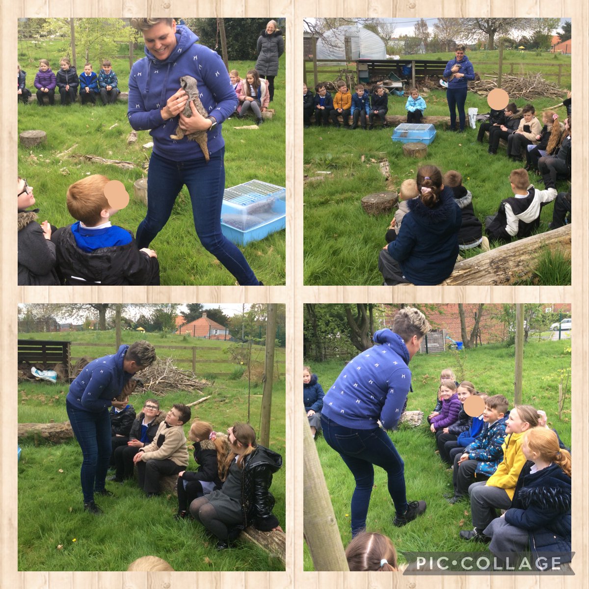Y3Hunmanby's tweet photo. Our topic launch, only 5 weeks ago, with friendly meerkats Ollie and Obe. I think we have them to thank for the children's incredible engagement with this topic. https://t.co/ye08TFqTLh