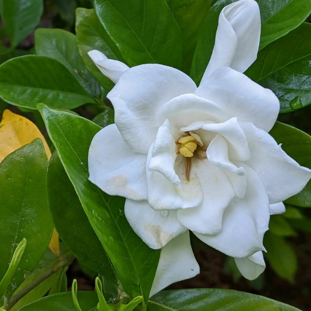 instagr.am/p/CeCZUp6LN9B/