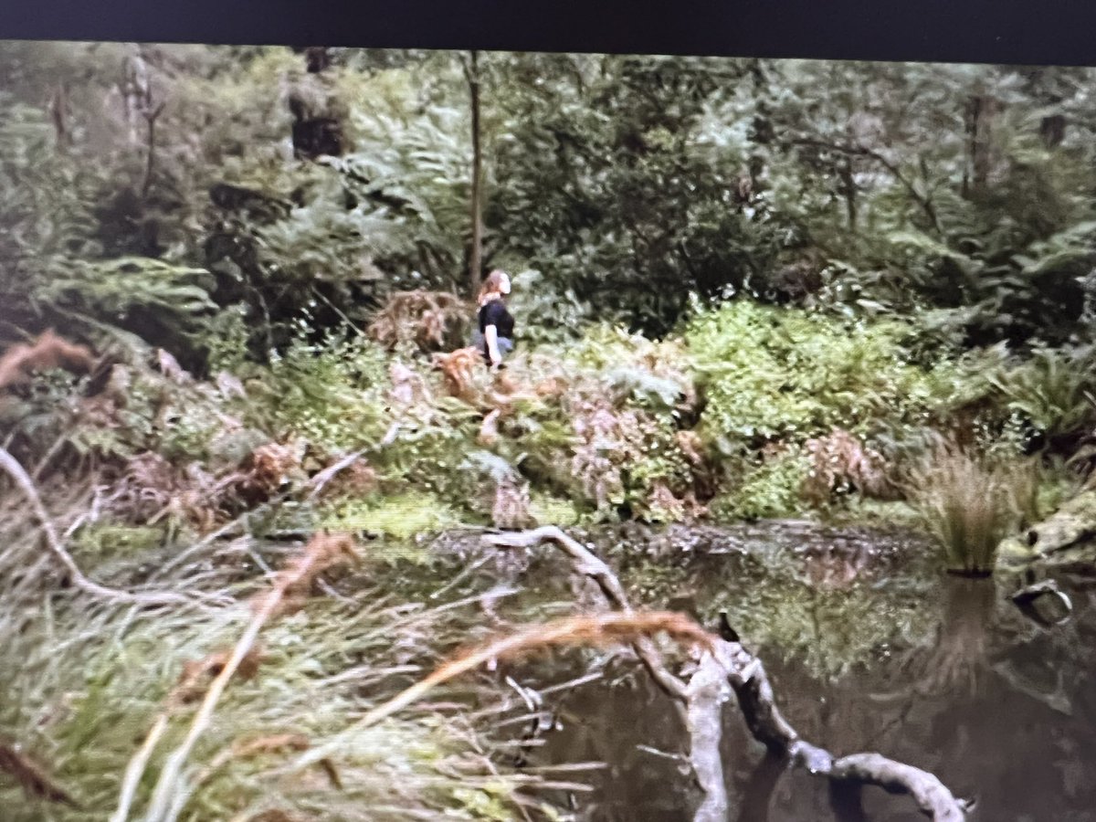 CostasGarden's tweet photo. Maddy Miller is an archaeologist, artist and researcher at Melbourne Uni . She is working to connect indigenous knowledge and modern science, bringing them together to care for country. Her story is part of #reconciliationweek #gardeningaustralia @abctv this week. @RecAustralia https://t.co/wk02GQVuiS