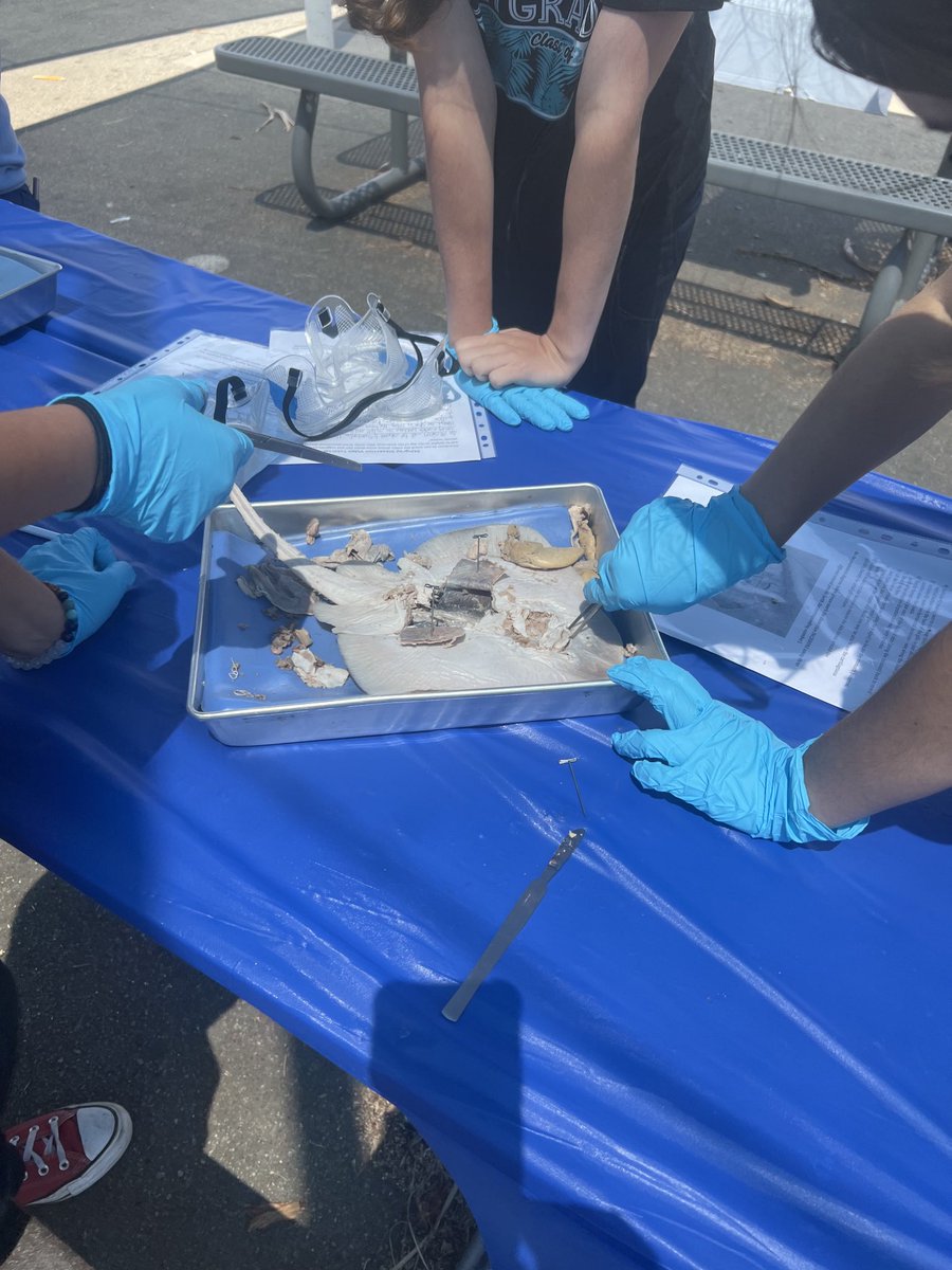 Marie Hatwan tweet media