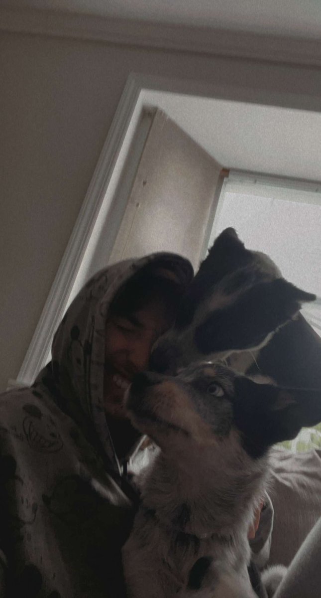 itstylerpalmer's tweet photo. puppy love 🐶 https://t.co/nQ8OLylvYA