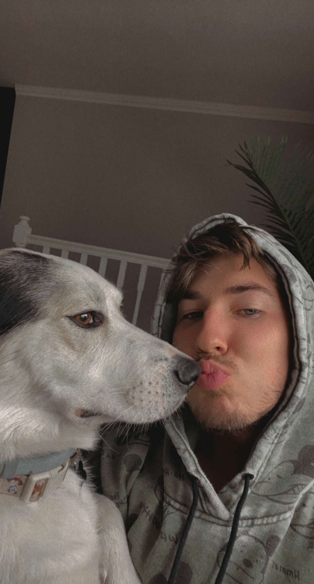 itstylerpalmer's tweet photo. puppy love 🐶 https://t.co/nQ8OLylvYA