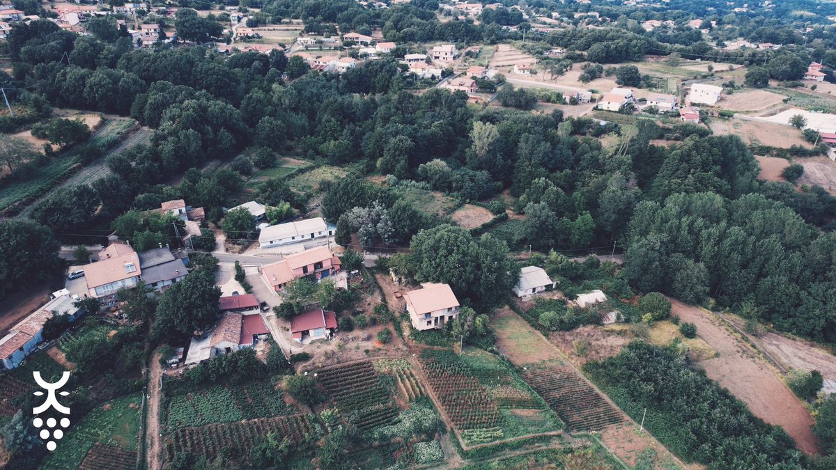 Friends of Dionysus 🍷 tweet media